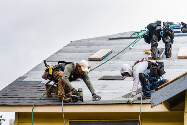 Professional Roof Replacement technician working in Dresser, WI